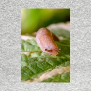 Cute Little Friendly Slug Nature Photograph T-Shirt
